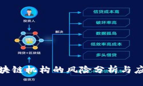 投资区块链机构的风险分析与应对策略