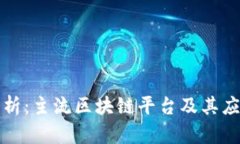 全面解析：主流区块链平台及其应用场景