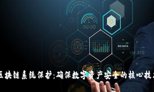 区块链系统保护：确保数字资产安全的核心技术