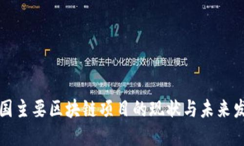 我国主要区块链项目的现状与未来发展