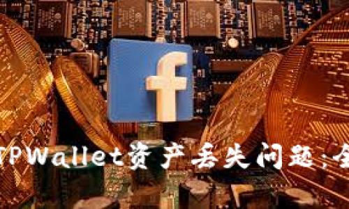 如何有效解决TPWallet资产丢失问题：全面指导与建议