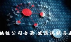 深圳区块链公司全景：发展现状与未来前景